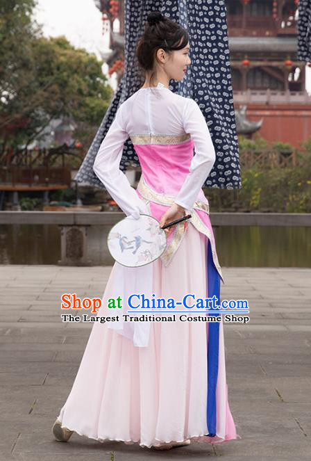 Traditional China Classical Dance Clothing Stage Show Costumes Pink Blouse and Skirt Outfits