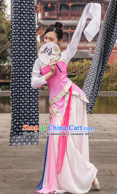Traditional China Classical Dance Clothing Stage Show Costumes Pink Blouse and Skirt Outfits