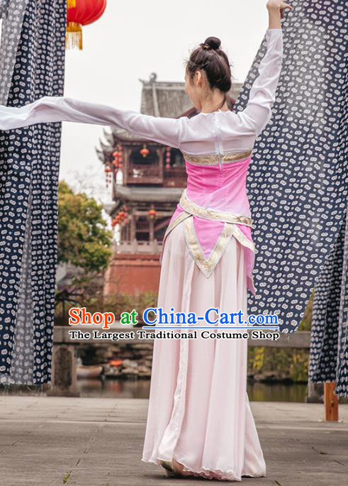 Traditional China Classical Dance Clothing Stage Show Costumes Pink Blouse and Skirt Outfits