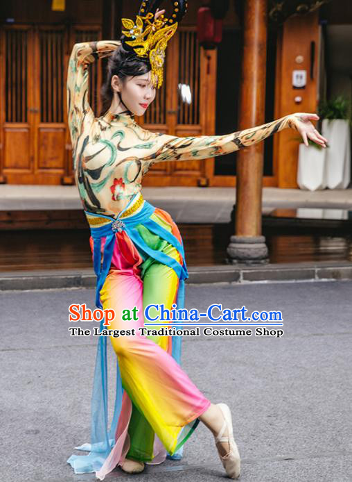 Traditional China Classical Dance Clothing Stage Show Costumes Pink Blouse and Skirt Outfits