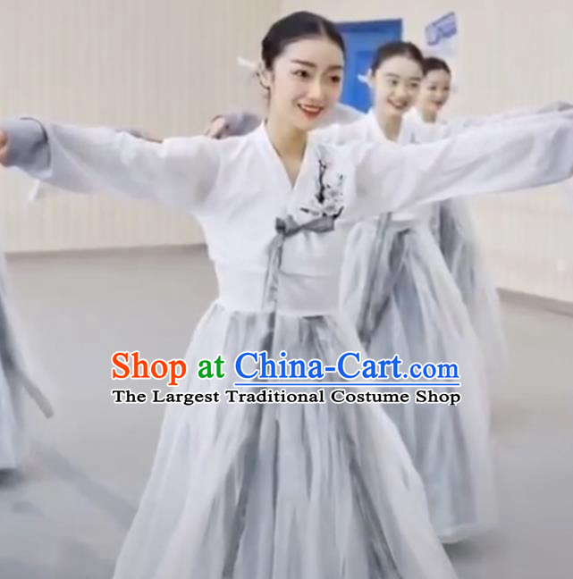 Chinese Classical Dance Clothing Traditional Korean Nationality Dance White Blouse and Dress Complete Set
