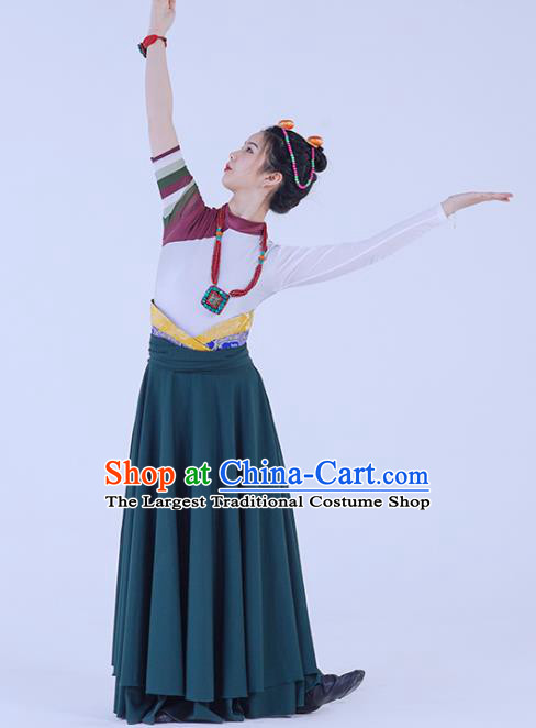 China Traditional Zang Nationality Folk Dance Clothing Tibetan Ethnic Women Dance Robe Outfits