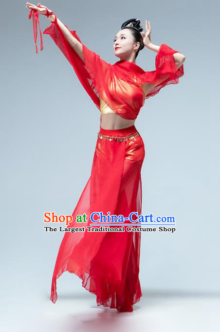 Traditional China Classical Dance Red Outfits Fan Dance Stage Performance Costume