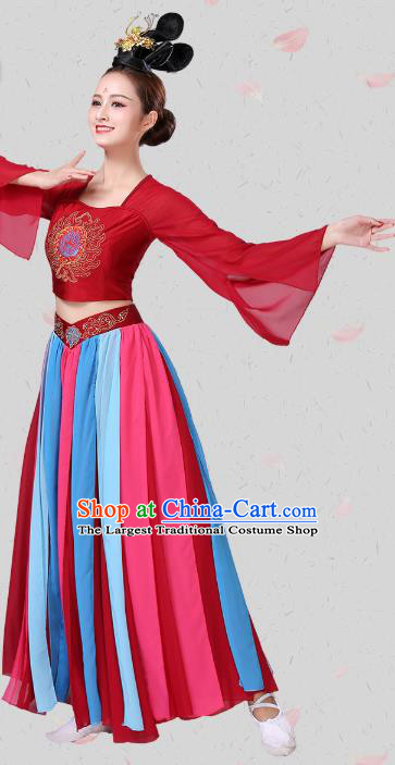 China Traditional Stage Performance Costume Classical Dance Red Blouse and Skirt Outfits