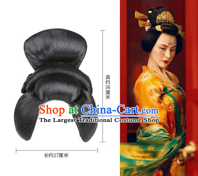 Chinese Classical Dance Du Fu Wigs Chignon Ancient Tang Dynasty Beauty Li Ren Xing Dance Headdress