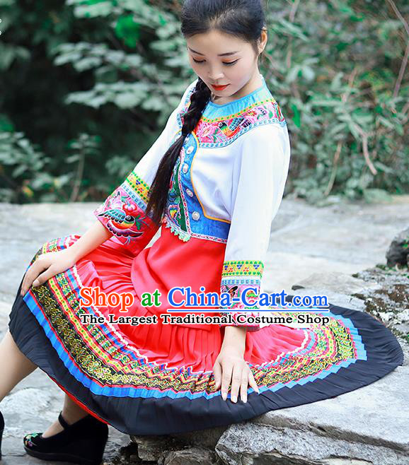 Chinese Miao Nationality Young Lady Clothing Hmong Ethnic Folk Dance Costumes