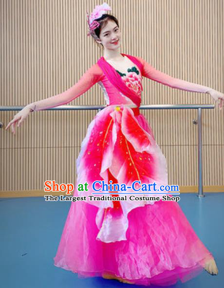 China Modern Dance Costume Opening Dance Stage Performance Rosy Dress