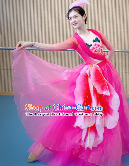 China Modern Dance Costume Opening Dance Stage Performance Rosy Dress