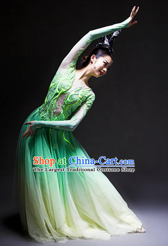 China Woman Solo Dance Costume Traditional Modern Dance Stage Performance Green Dress