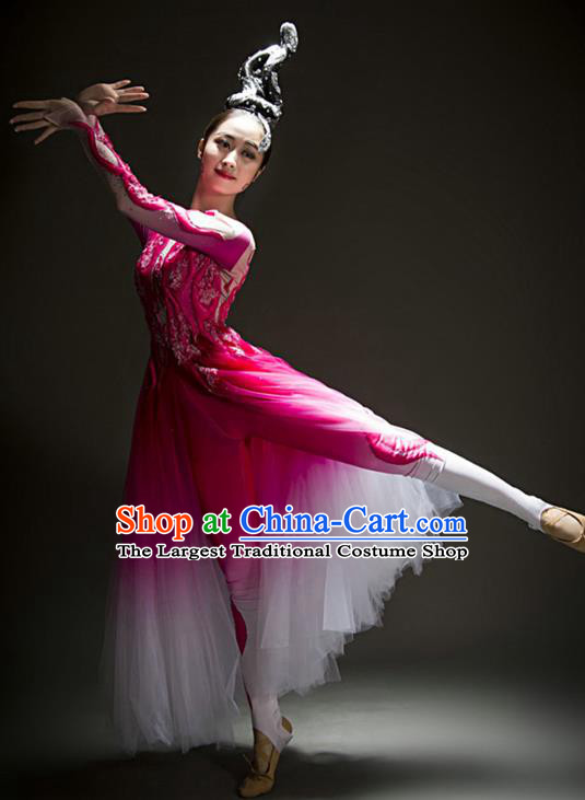 China Modern Dance Stage Performance Rosy Veil Dress Woman Solo Dance Costume