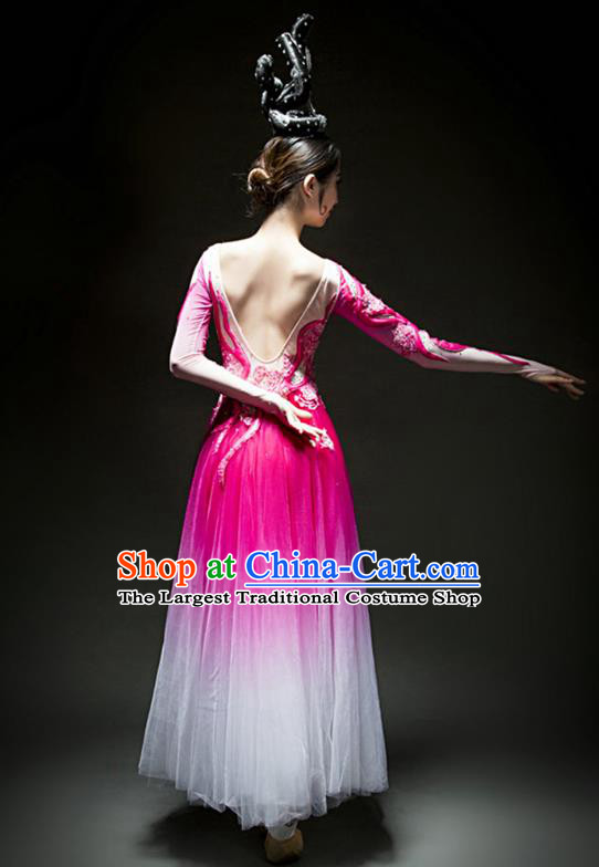China Modern Dance Stage Performance Rosy Veil Dress Woman Solo Dance Costume