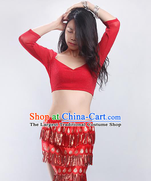 Indian Traditional Belly Dance Red Outfits Asian Oriental Dance Training Top and Tassel Skirt Clothing
