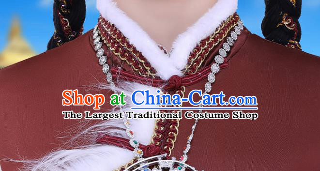 Chinese Traditional Zang Nationality Folk Dance Clothing Xizang Tibetan Ethnic Performance Brown Dress