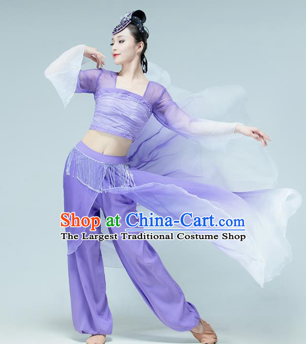Professional Chinese Classical Dance Performance Clothing Fan Dance Violet Outfits
