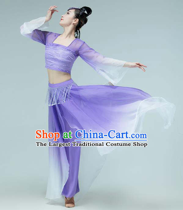 Professional Chinese Classical Dance Performance Clothing Fan Dance Violet Outfits