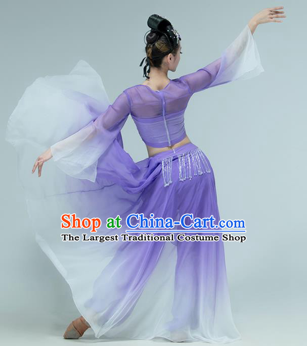 Professional Chinese Classical Dance Performance Clothing Fan Dance Violet Outfits