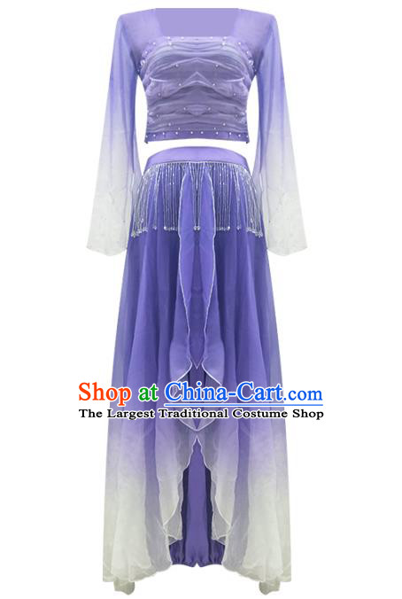 Professional Chinese Classical Dance Performance Clothing Fan Dance Violet Outfits