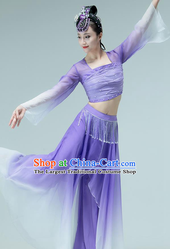 Professional Chinese Classical Dance Performance Clothing Fan Dance Violet Outfits