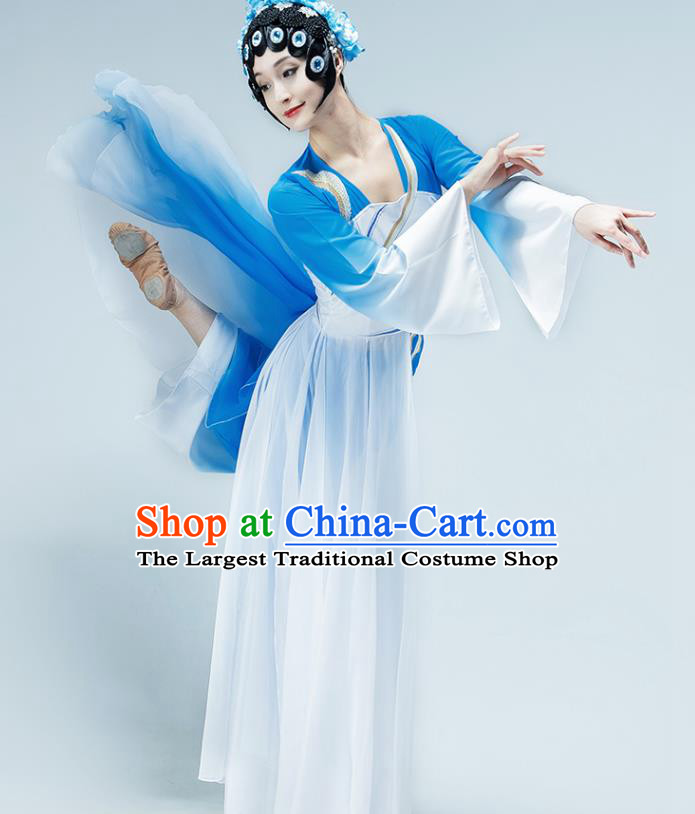 Chinese Beijing Opera Dance Blue Dress Classical Dance Stage Performance Clothing
