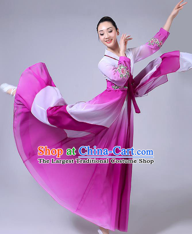 Chinese Ethnic Folk Dance Purple Dress Outfits Traditional Korean Nationality Dance Clothing