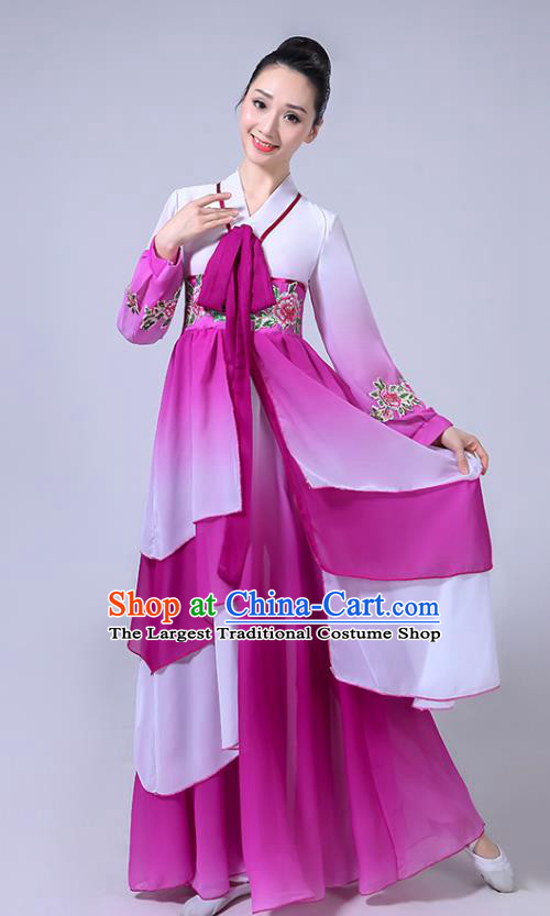 Chinese Ethnic Folk Dance Purple Dress Outfits Traditional Korean Nationality Dance Clothing