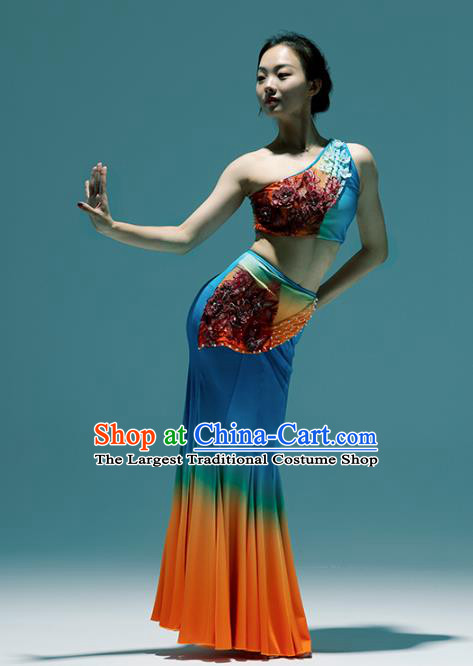 Chinese Traditional Dai Nationality Peacock Dance Dress Yunnan Ethnic Performance Clothing