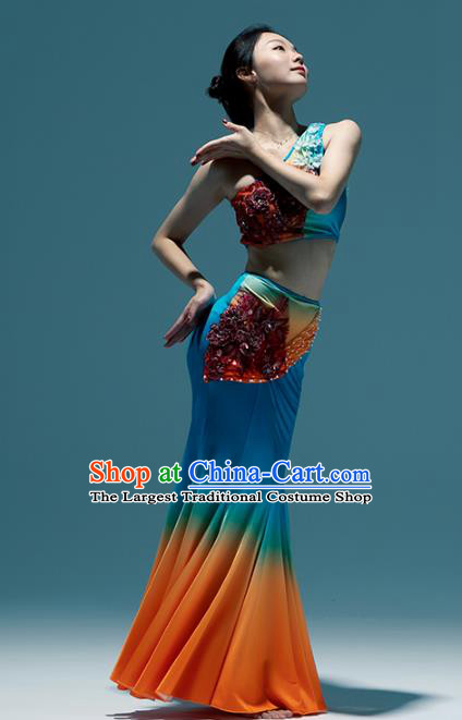 Chinese Traditional Dai Nationality Peacock Dance Dress Yunnan Ethnic Performance Clothing