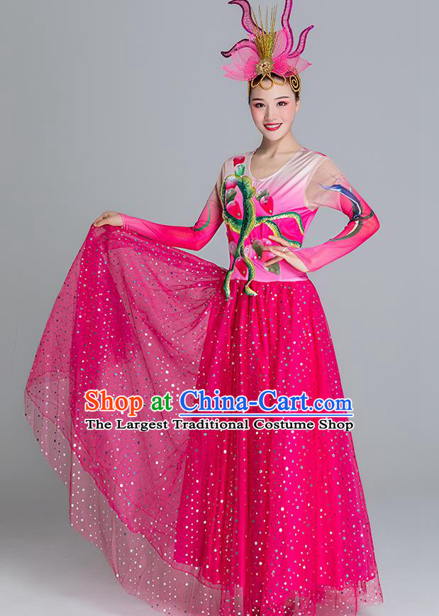 China Classical Dance Clothing Lotus Dance Rosy Dress Group Dance Stage Performance Costume