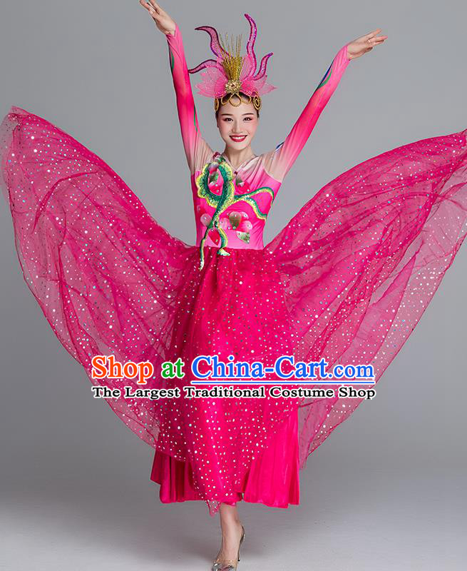 China Classical Dance Clothing Lotus Dance Rosy Dress Group Dance Stage Performance Costume
