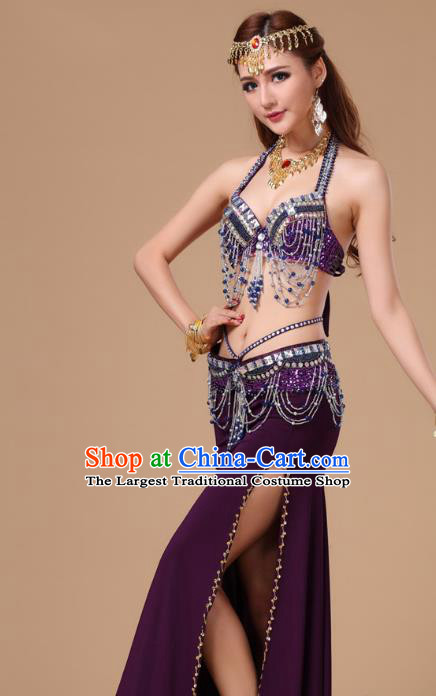 Top Asian Indian Stage Performance Purple Uniforms Belly Dance Clothing Traditional Oriental Dance Bra and Skirt