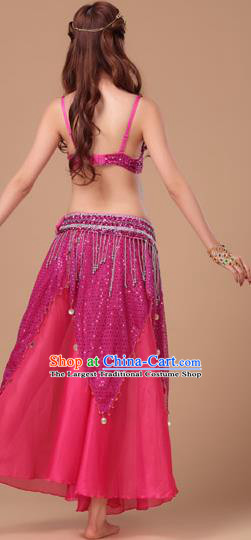 Top Asian Folk Dance Clothing Indian Belly Dance Sexy Bra and Rosy Skirt Uniforms