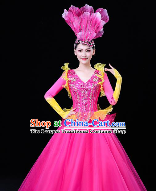 China Modern Dance Flower Dance Clothing Spring Festival Gala Opening Dance Rosy Veil Dress