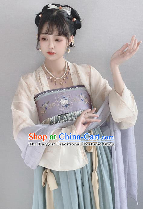 China Ancient Palace Lady Hanfu Dress Garment Traditional Tang Dynasty Princess Historical Clothing Full Set