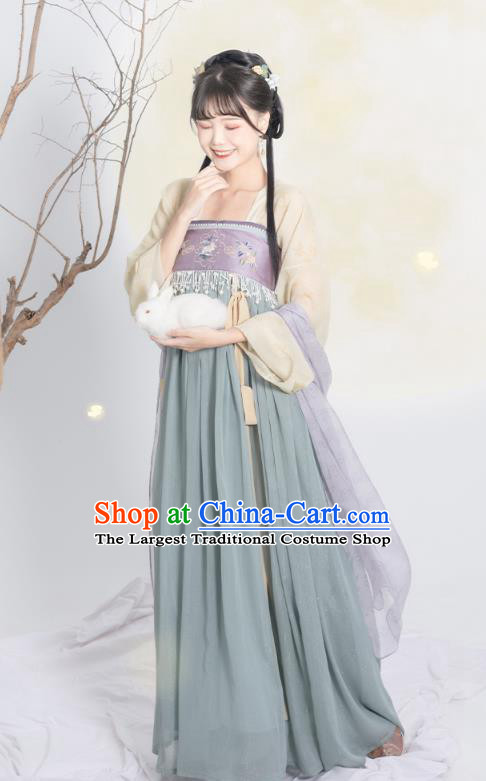 China Ancient Palace Lady Hanfu Dress Garment Traditional Tang Dynasty Princess Historical Clothing Full Set