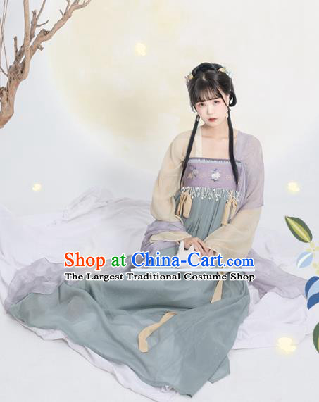 China Ancient Palace Lady Hanfu Dress Garment Traditional Tang Dynasty Princess Historical Clothing Full Set