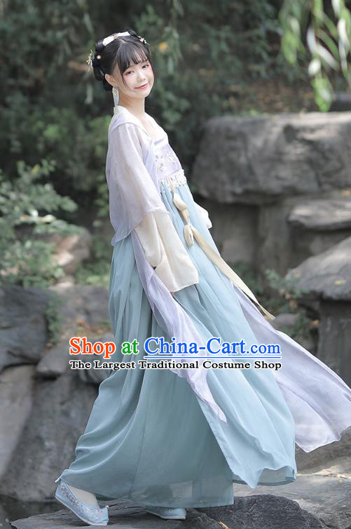 China Ancient Palace Lady Hanfu Dress Garment Traditional Tang Dynasty Princess Historical Clothing Full Set