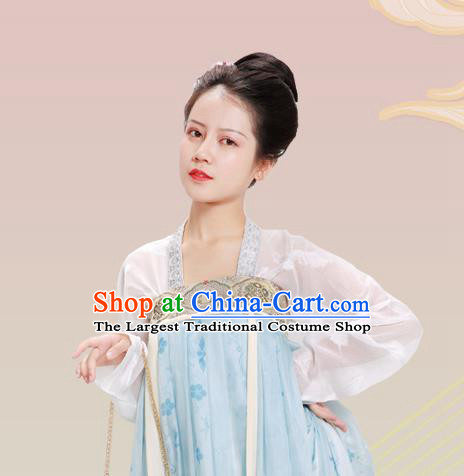 China Traditional Tang Dynasty Palace Lady Historical Clothing Ancient Court Beauty Blue Hanfu Dress