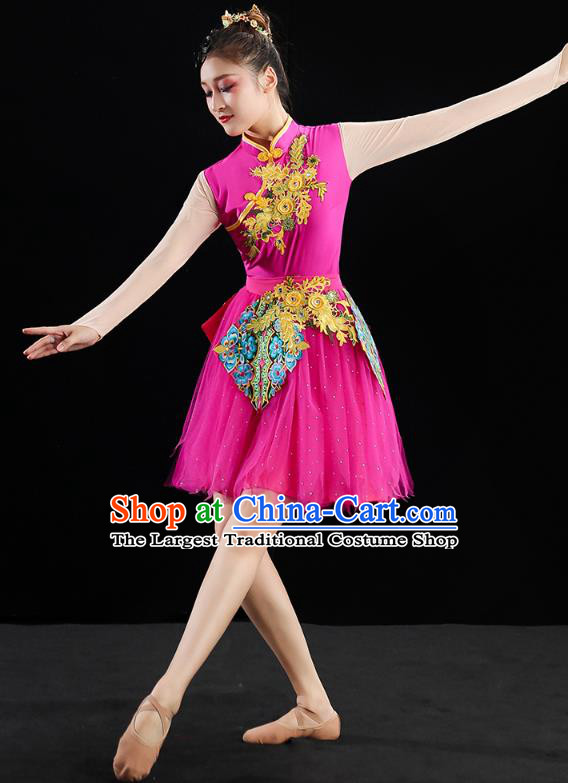 China Modern Dance Clothing Jazz Dance Rosy Dress Spring Festival Gala Performance Outfits