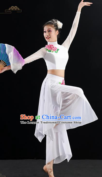 Chinese Umbrella Dance Clothing Traditional Classical Dance Costumes Woman Solo Dance White Outfits