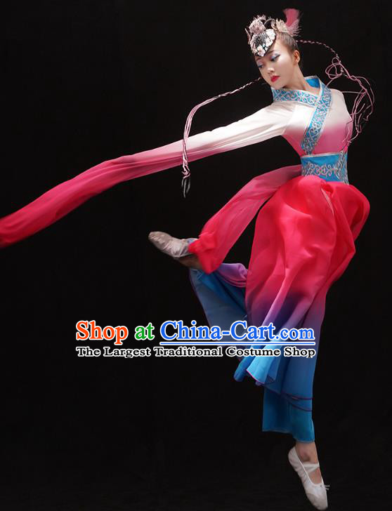 Chinese Classical Dance Jinghong Clothing Umbrella Dance Outfits Traditional Water Sleeve Dance Dress