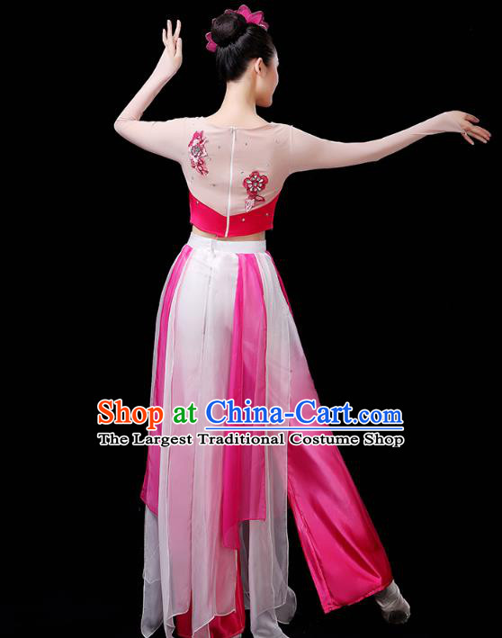 Chinese Traditional Solo Dance Performance Clothing Classical Dance Costume Umbrella Dance Rosy Dress