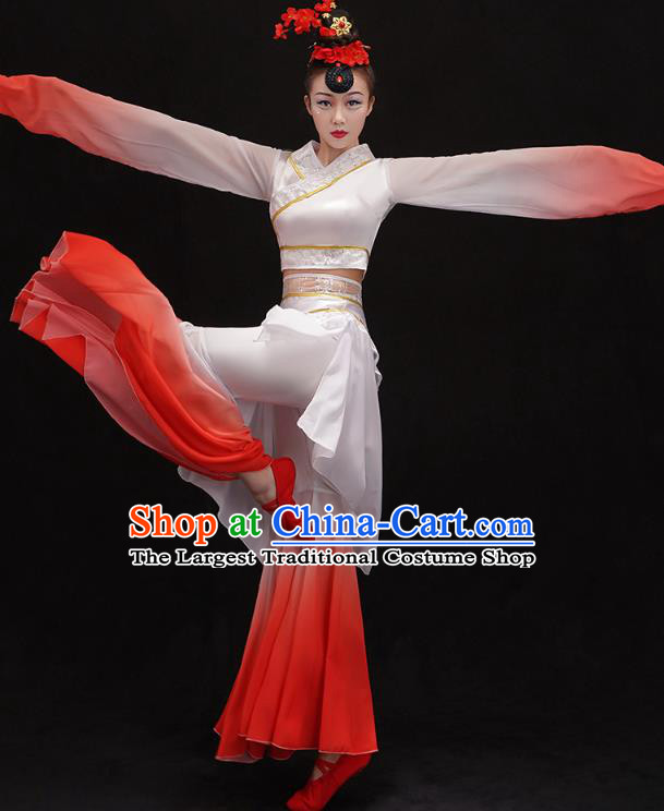 Chinese Umbrella Dance Outfits Classical Dance Performance Clothing Traditional Water Sleeve Cai Wei Dance Dress