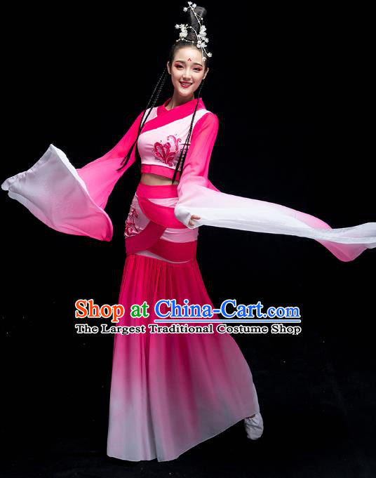 Chinese Classical Dance Fairy Clothing Water Sleeve Dance Performance Dress Traditional Court Beauty Dance Rosy Outfits