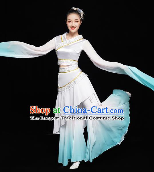Chinese Classical Dance Performance Clothing Water Sleeve Dress Traditional Court Dance Costumes