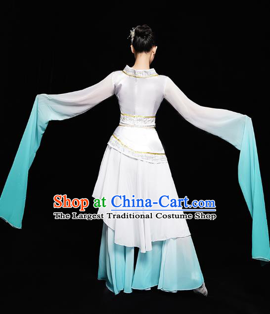 Chinese Classical Dance Performance Clothing Water Sleeve Dress Traditional Court Dance Costumes