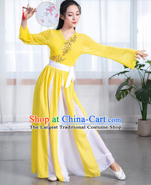 China Umbrella Dance Training Clothing Classical Dance Yellow Chiffon Dress Stage Performance Fashion