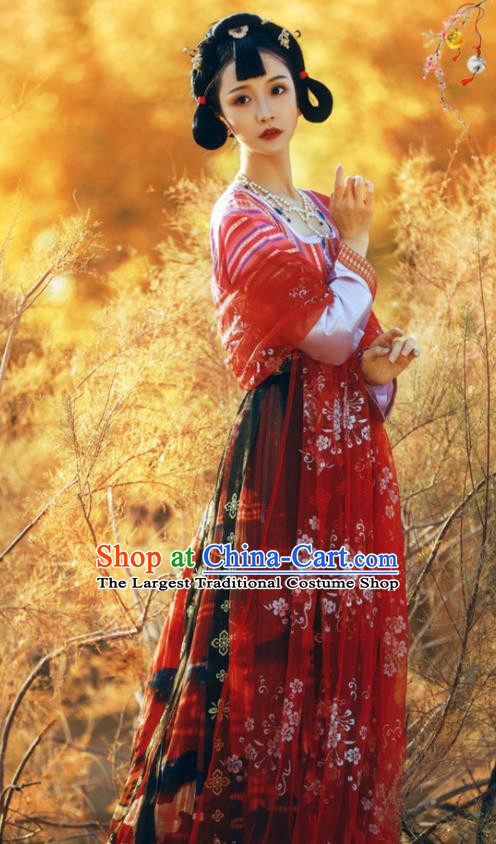 China Traditional Tang Dynasty Palace Lady Historical Clothing Ancient Young Woman Hanfu Dress