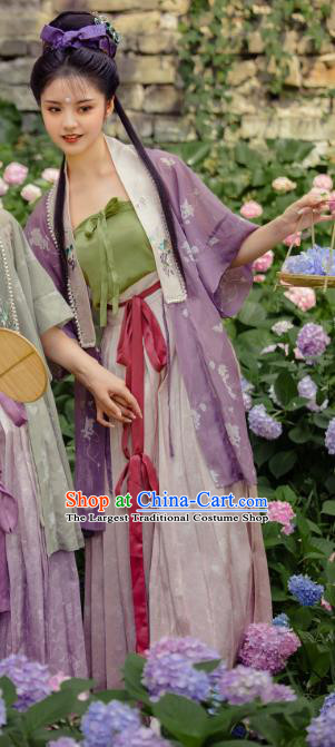 China Ancient Song Dynasty Village Girl Historical Clothing Traditional Hanfu Dress Garments for Women