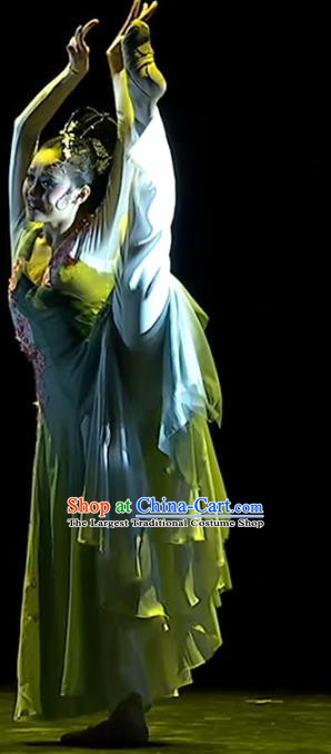 Top Chinese Woman Solo Dance Garment Costume Traditional Stage Performance Clothing Classical Dance Dress