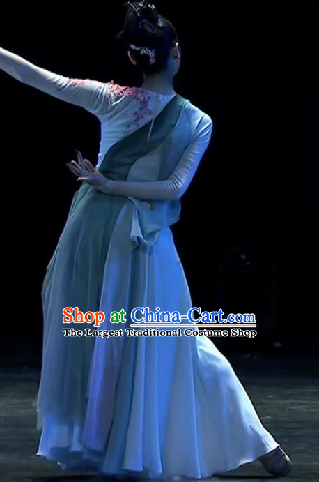Top Chinese Woman Solo Dance Garment Costume Traditional Stage Performance Clothing Classical Dance Dress